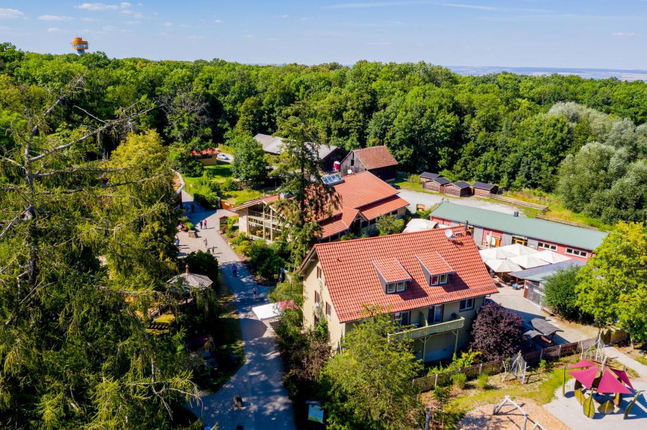 Forsthaus Thiemsburg Im Nationalpark Hainich Schonstedt Exteriör bild